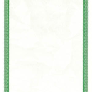 Goes 357 Stock Certificates-Green-8.5"11"-VERTICAL