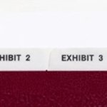 11378B Numerical, EXHIBIT 1-100, BOTTOM 5th Cut