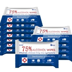Hand Sanitizing Wipes (1 pack of 10)