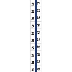 58002 Tabbies Numerical Exhibit Index Tab Labels #21 - 30