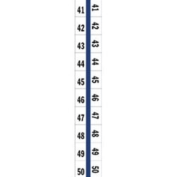 58004 Tabbies Numerical Exhibit Index Tab Labels #41 - 50