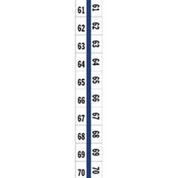 58006 Tabbies Numerical Exhibit Index Tab Labels #61 - 70