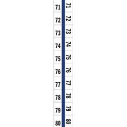 58007 Tabbies Numerical Exhibit Index Tab Labels #71 - 80
