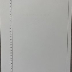 Pleading Paper-26 Lines/Numbers (500/box)