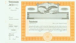 Stock Certificate GOES 1365 Custom Printed