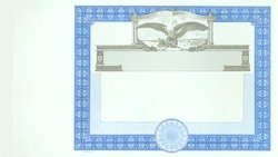 Stock Certificate 366 Custom Printed