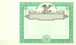 Stock Certificate 533 Custom Printed