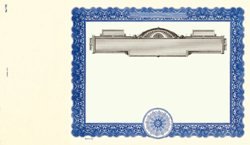 Stock Certificate 730 Custom Printed