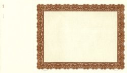 Stock Certificate 741 Custom Printed