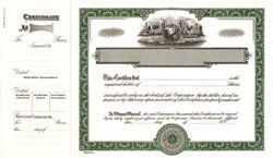 Stock Certificate 755 Custom Printed