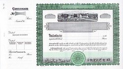 Stock Certificate 91 Custom Printed - Image 2