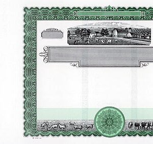 Goes 762 Stock Certificates