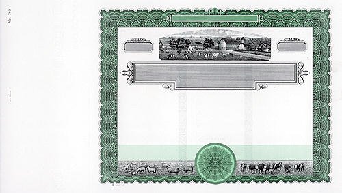 Goes 762 Stock Certificates