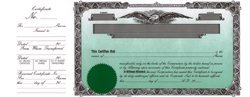 Stock Certificate B100 Custom Printed